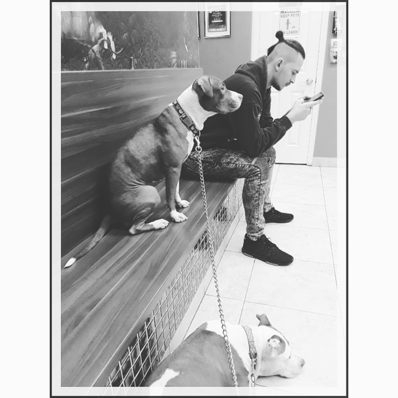 Meet your Posher, Olga - Picture 2 of 4